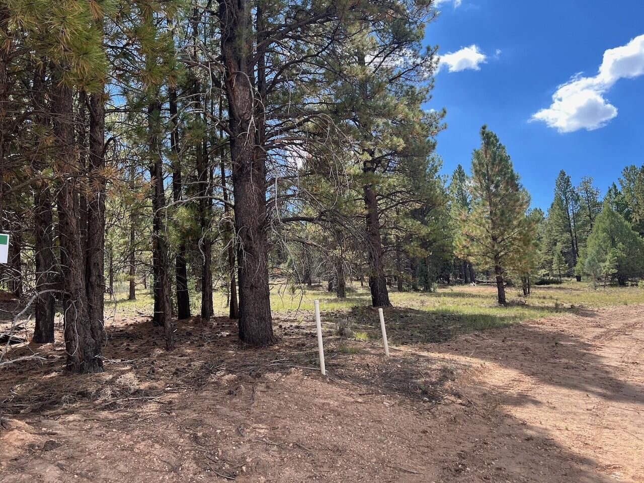 Lot # 14 Elk Ridge Estates Phase 6, Alton, photo 5 of 7
