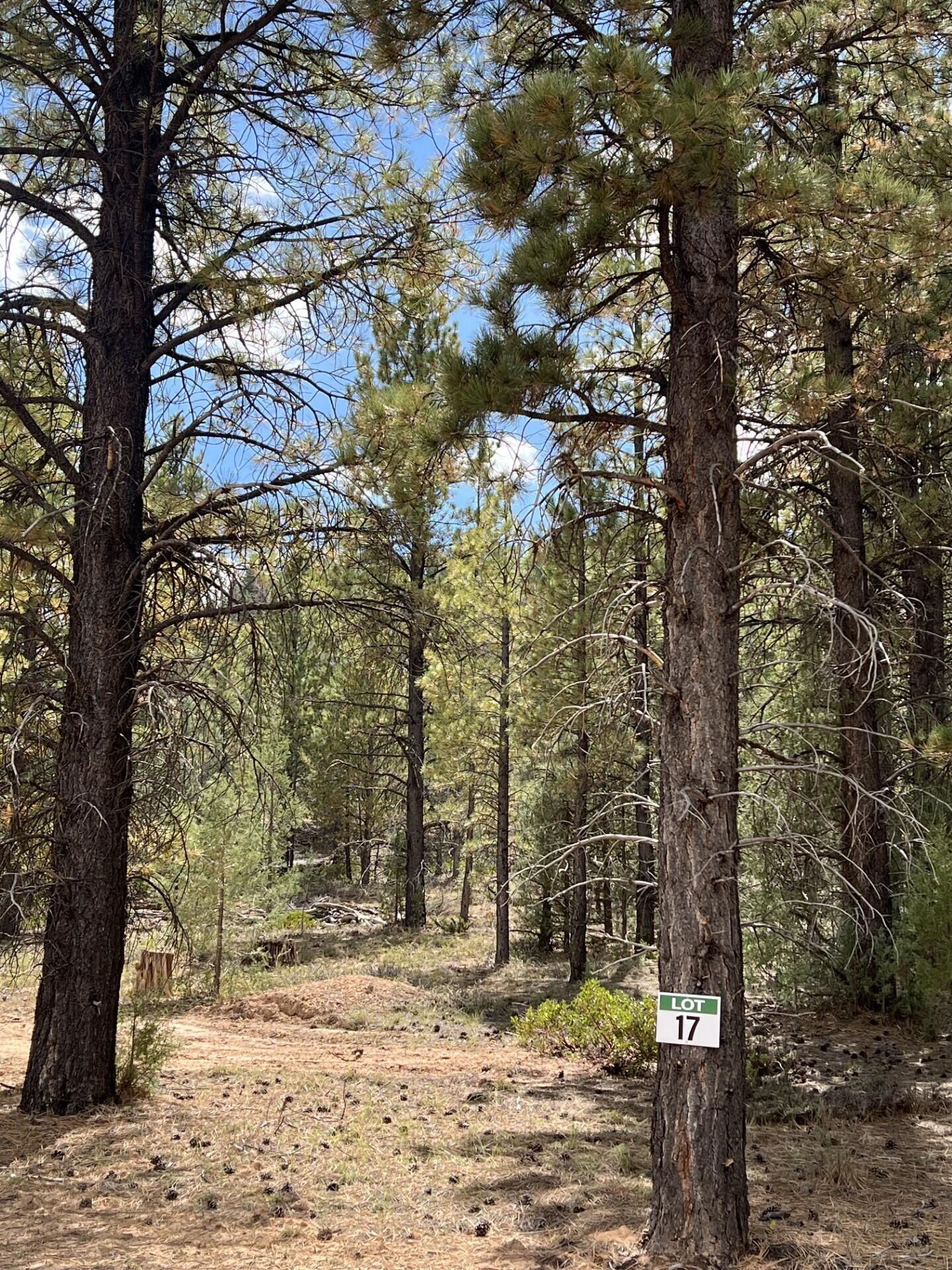 Lot # 17 Elk Ridge Estates Phase 6, Alton, photo 4 of 4