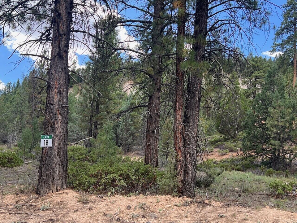 Lot # 18 Elk Ridge Estates Phase 6, Alton, photo 3