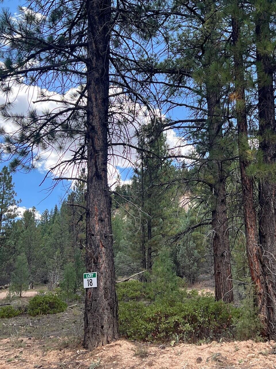Lot # 18 Elk Ridge Estates Phase 6, Alton, photo 4 of 5