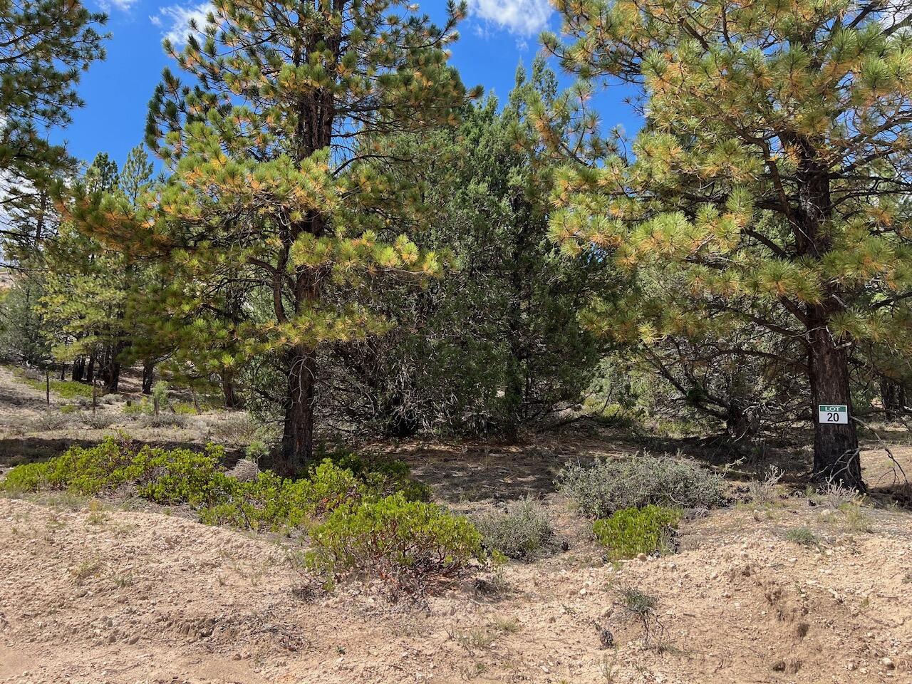 Lot # 20 Elk Ridge Estates Phase 6, Alton, photo 4 of 4