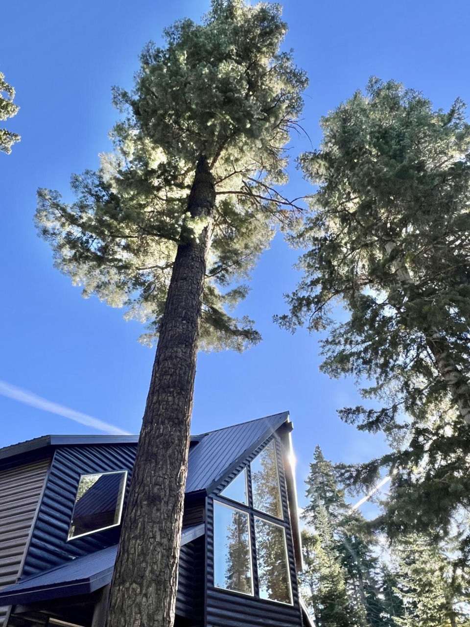 1255 E Redwood RD, Duck Creek Village, photo 3