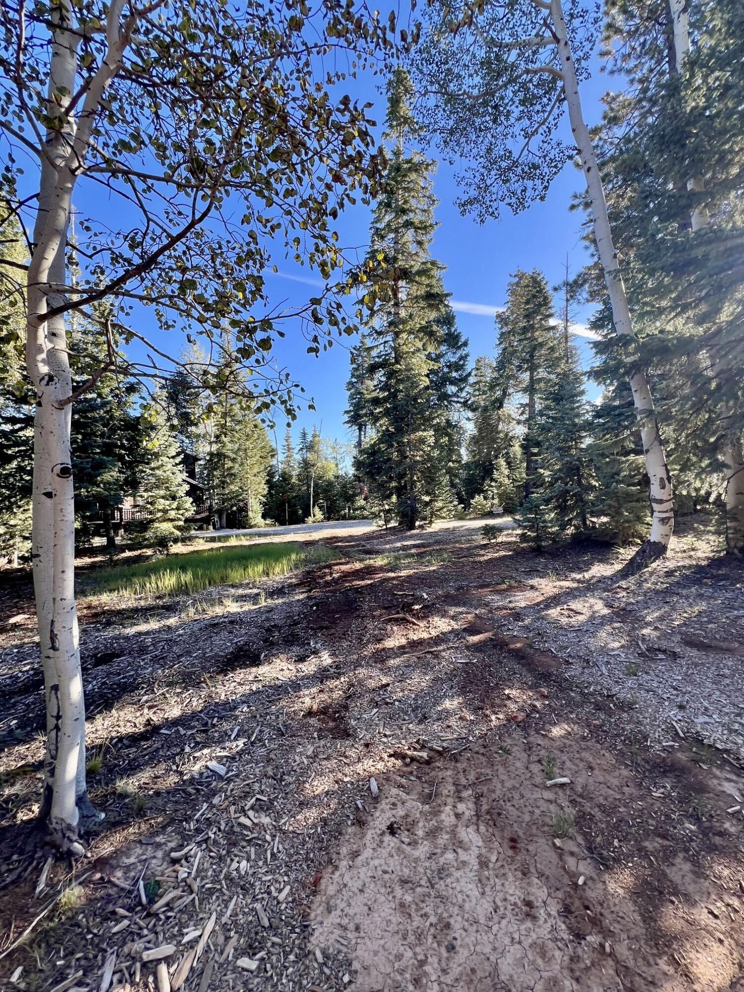 1255 E Redwood RD, Duck Creek Village, photo 5 of 47