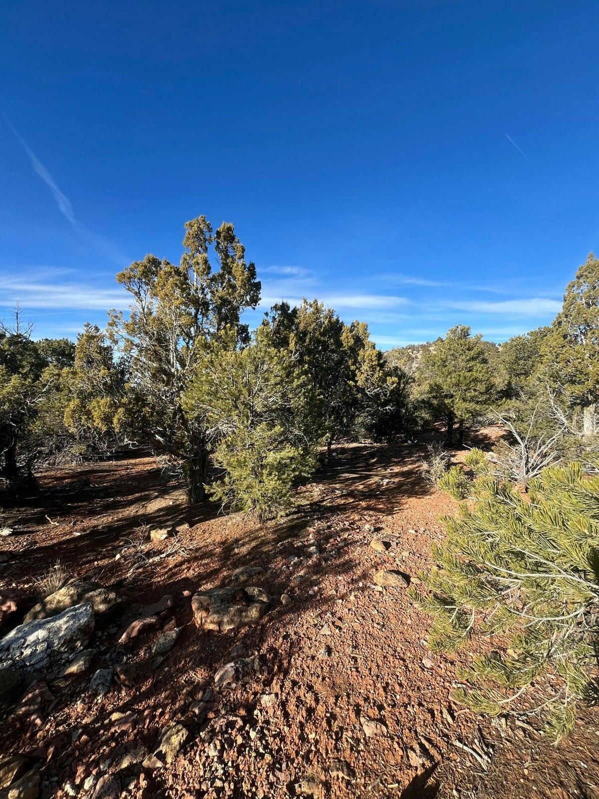 2577 W spring canyon RD W, 2541 spring, Parowan, photo 6 of 7