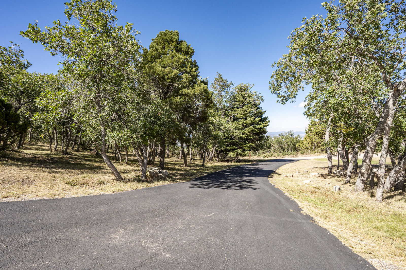 1130 E High Cedar Highlands DR, Cedar City, photo 62 of 74