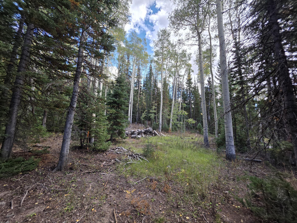 214 E Deer Trail, Brian Head