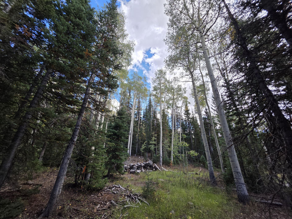 214 E Deer Trail, Brian Head, photo 2