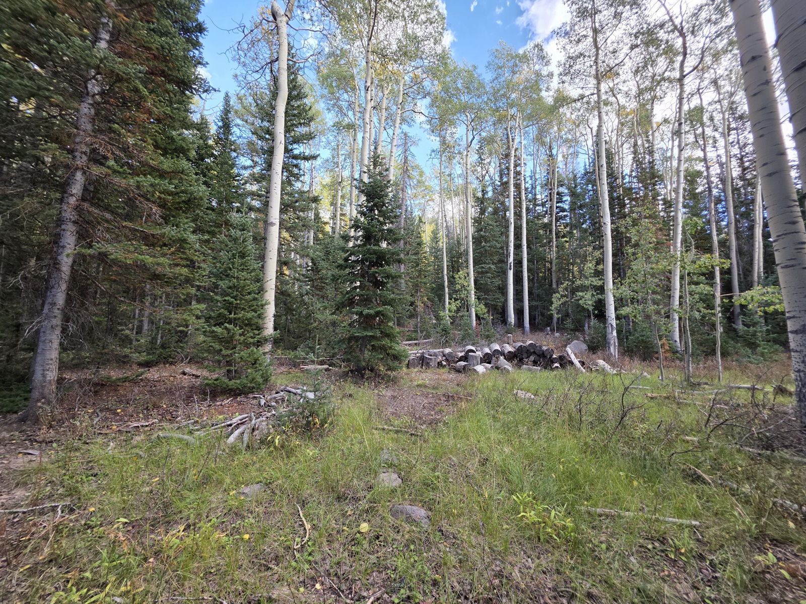 214 E Deer Trail, Brian Head, photo 3 of 38