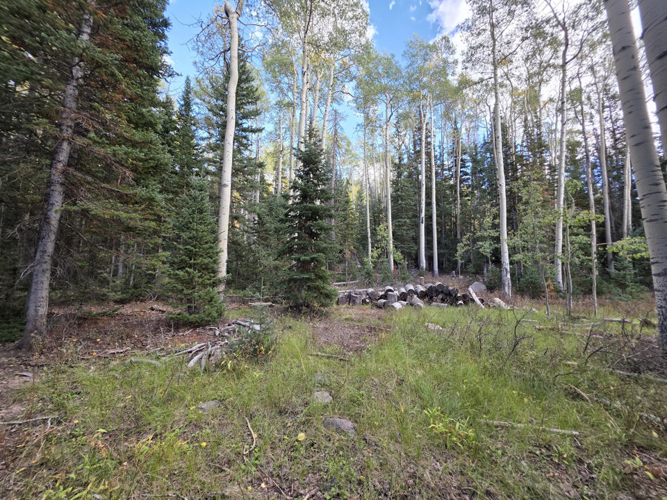 214 E Deer Trail, Brian Head, photo 3