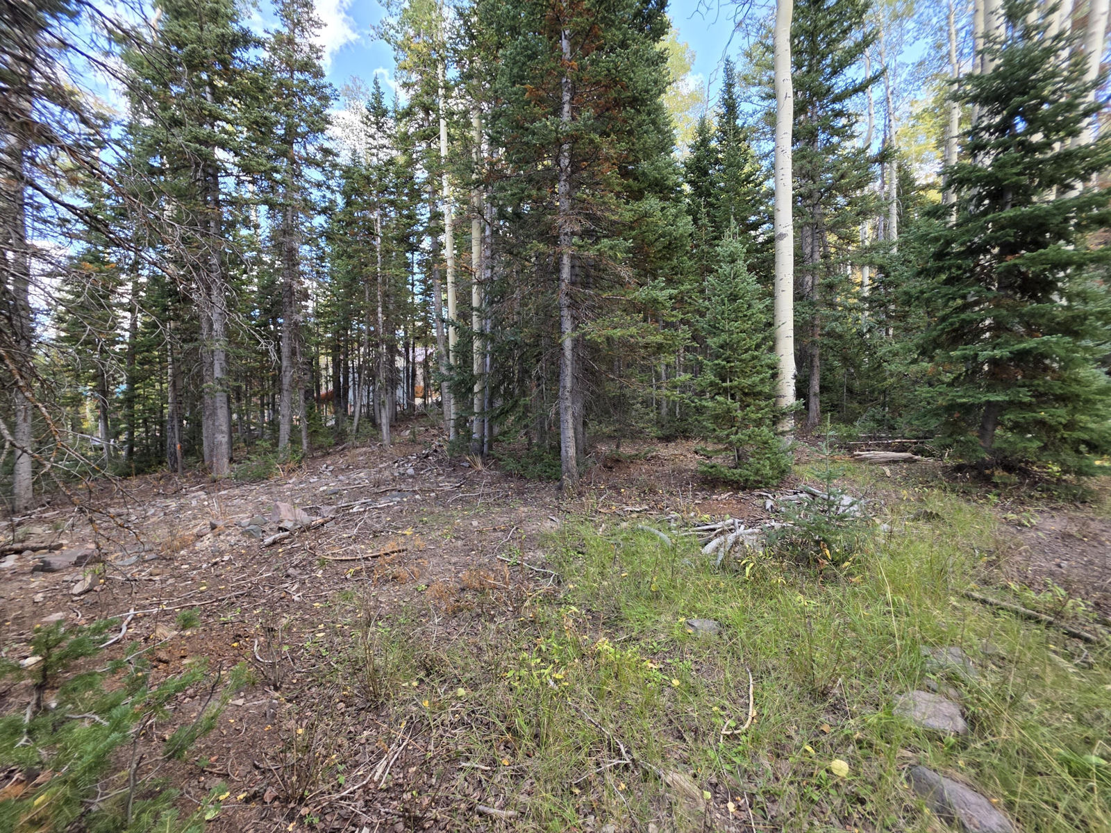 214 E Deer Trail, Brian Head, photo 4 of 38
