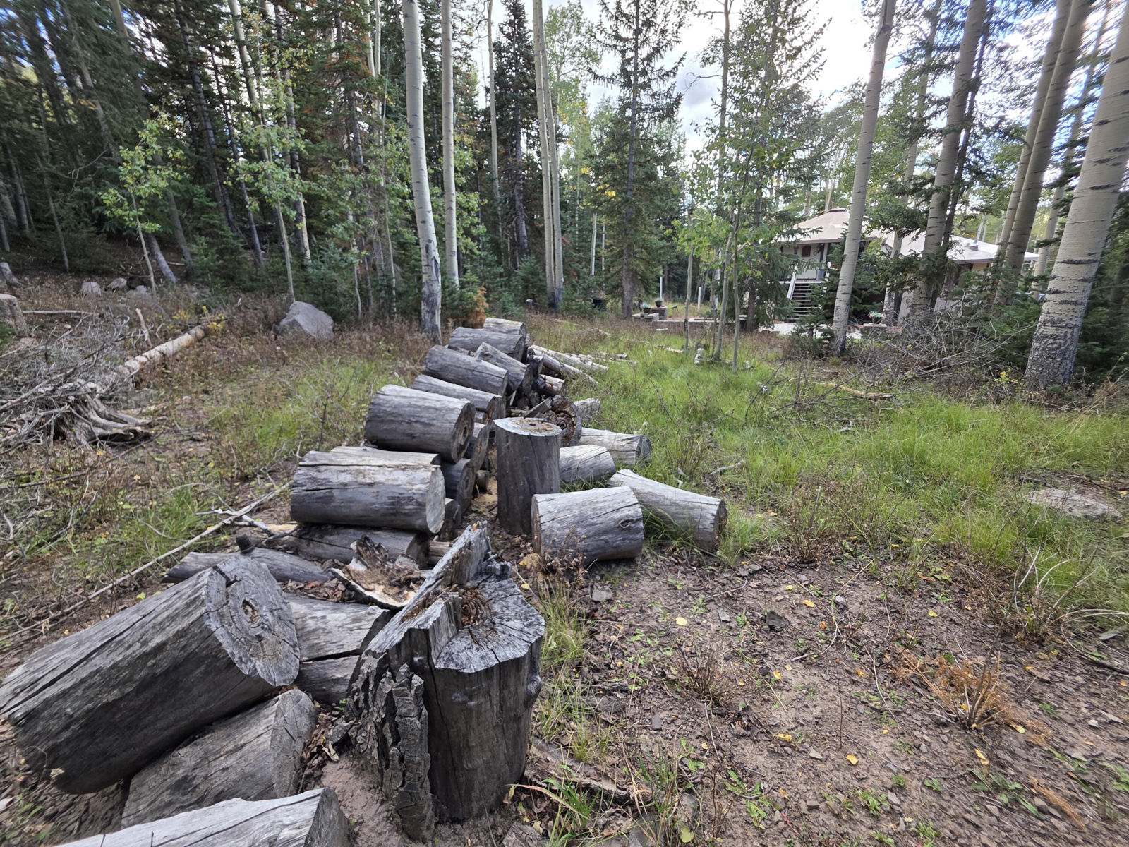 214 E Deer Trail, Brian Head, photo 7 of 38