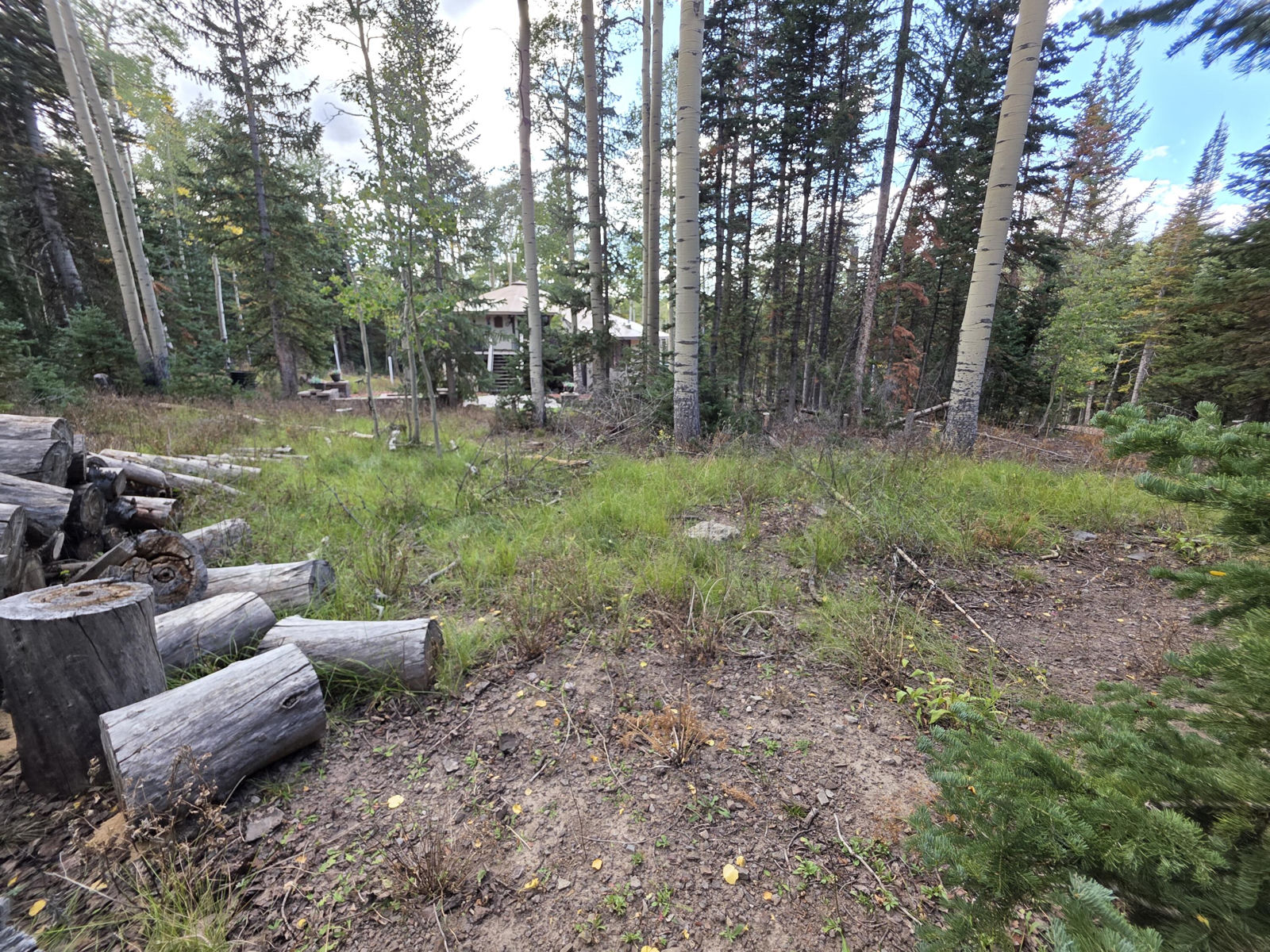 214 E Deer Trail, Brian Head, photo 8 of 38