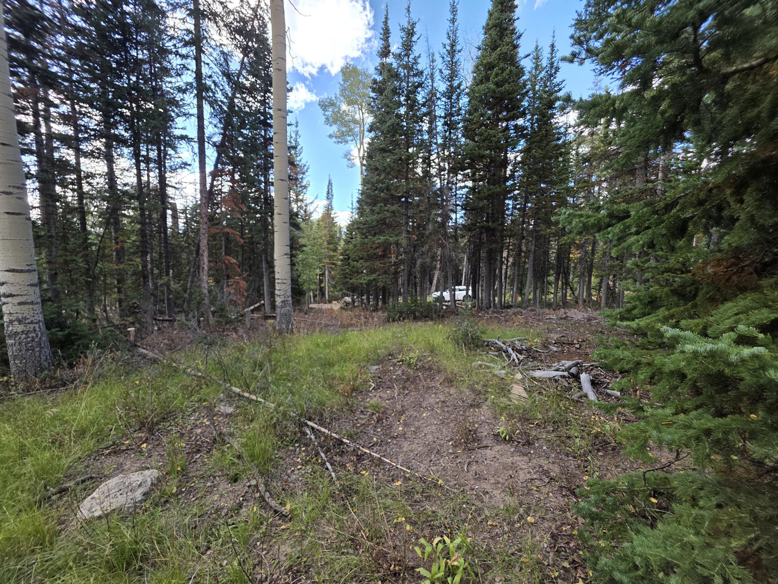 214 E Deer Trail, Brian Head, photo 9 of 38