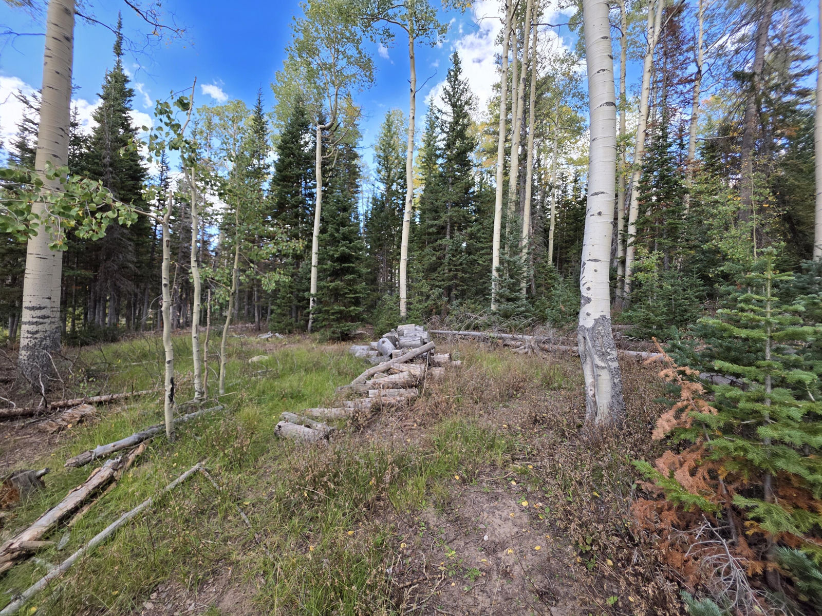 214 E Deer Trail, Brian Head, photo 12 of 38