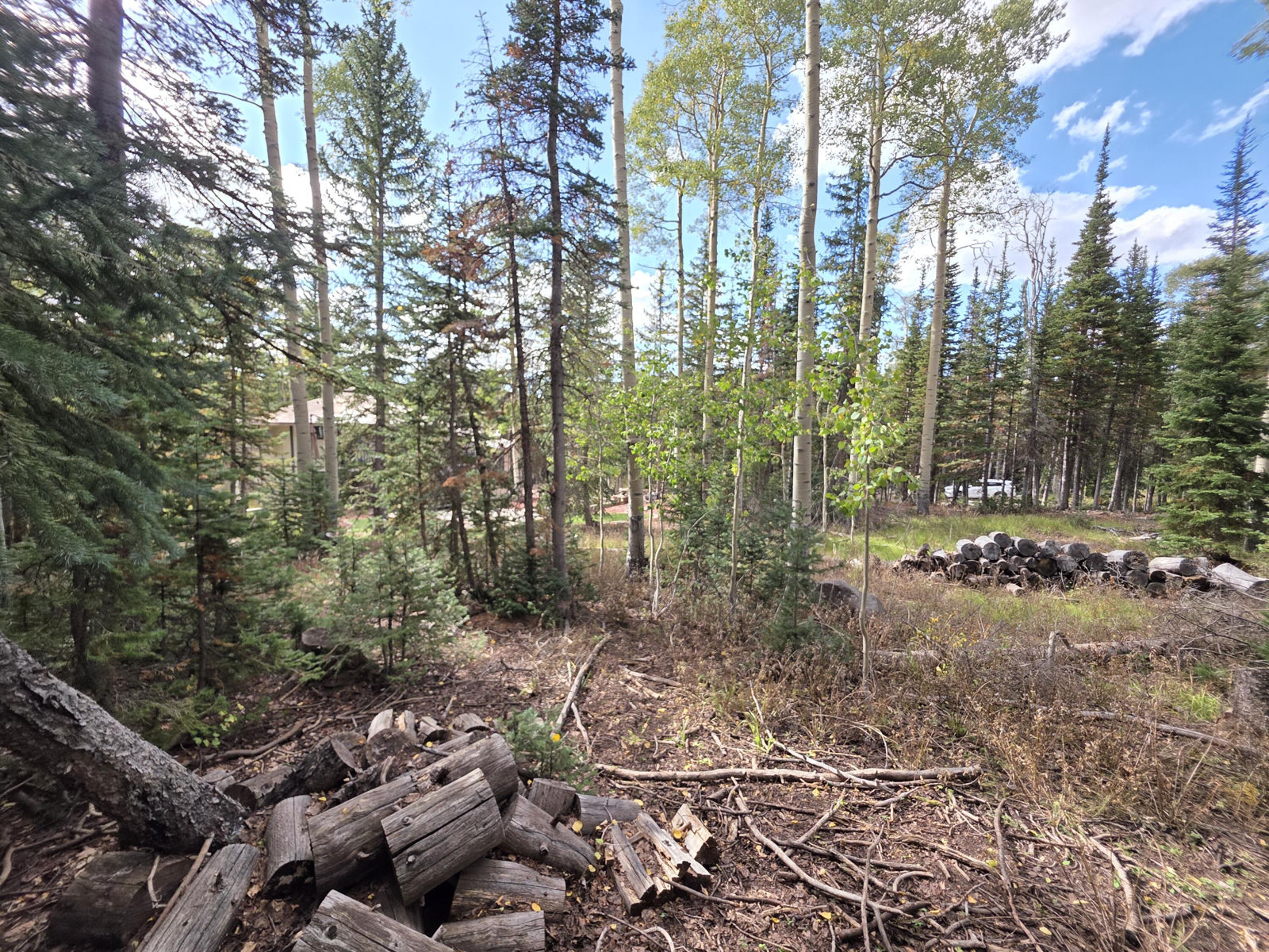 214 E Deer Trail, Brian Head, photo 14 of 38