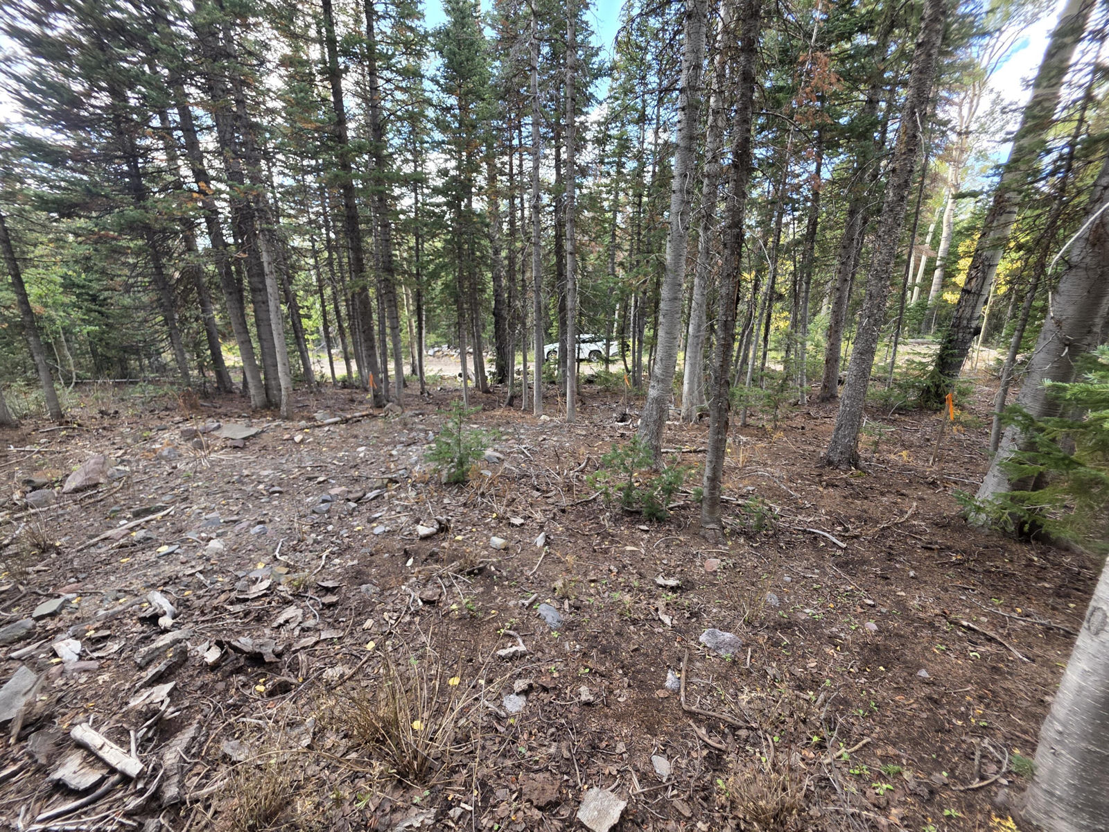 214 E Deer Trail, Brian Head, photo 15 of 38