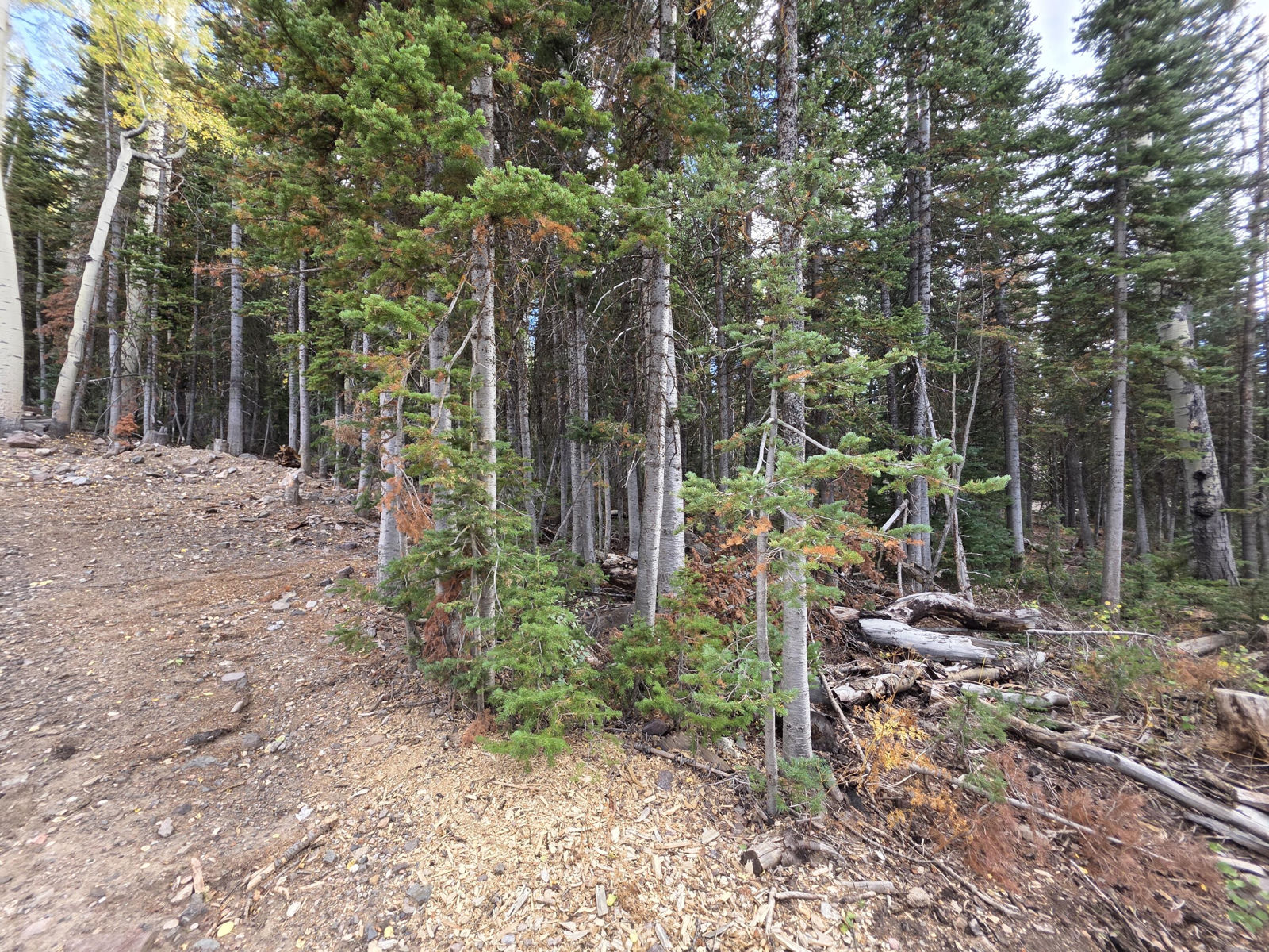 214 E Deer Trail, Brian Head, photo 20 of 38