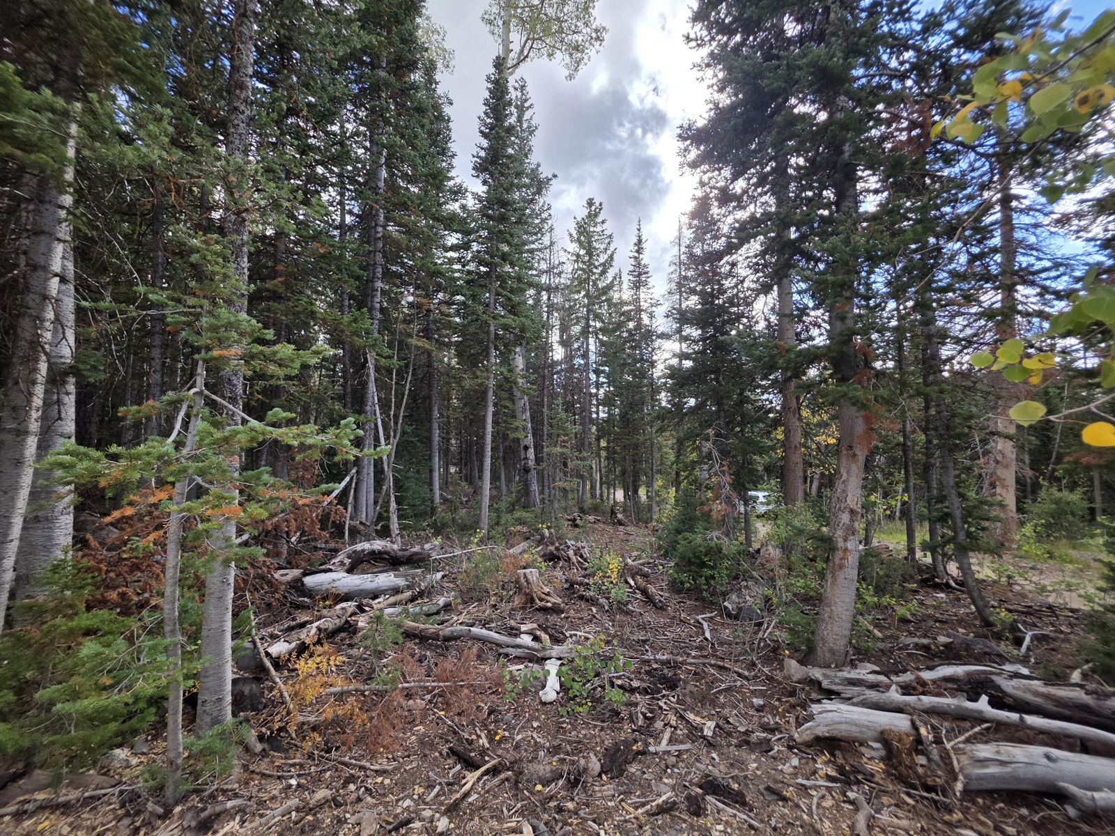214 E Deer Trail, Brian Head, photo 21 of 38