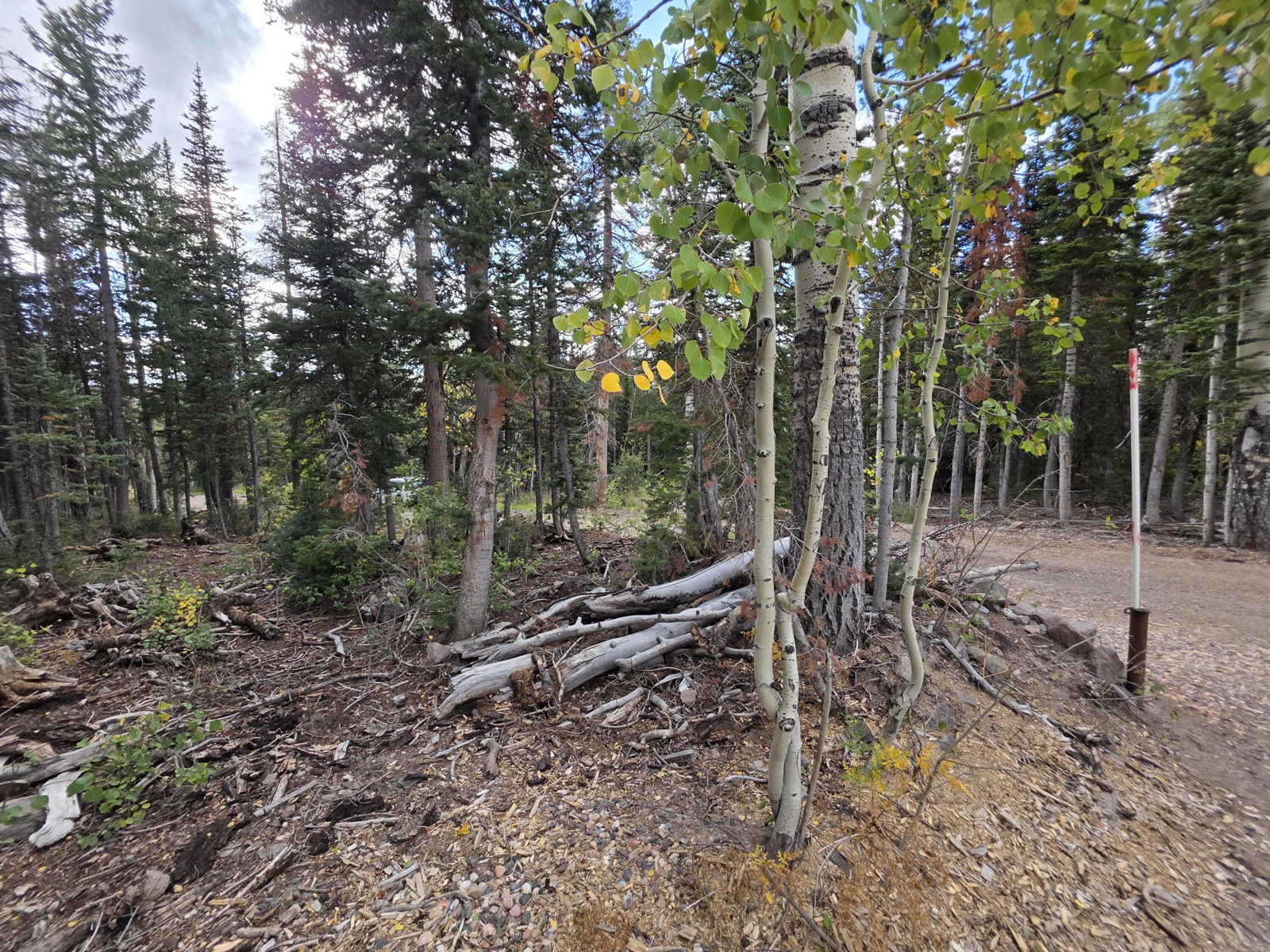 214 E Deer Trail, Brian Head, photo 22 of 38