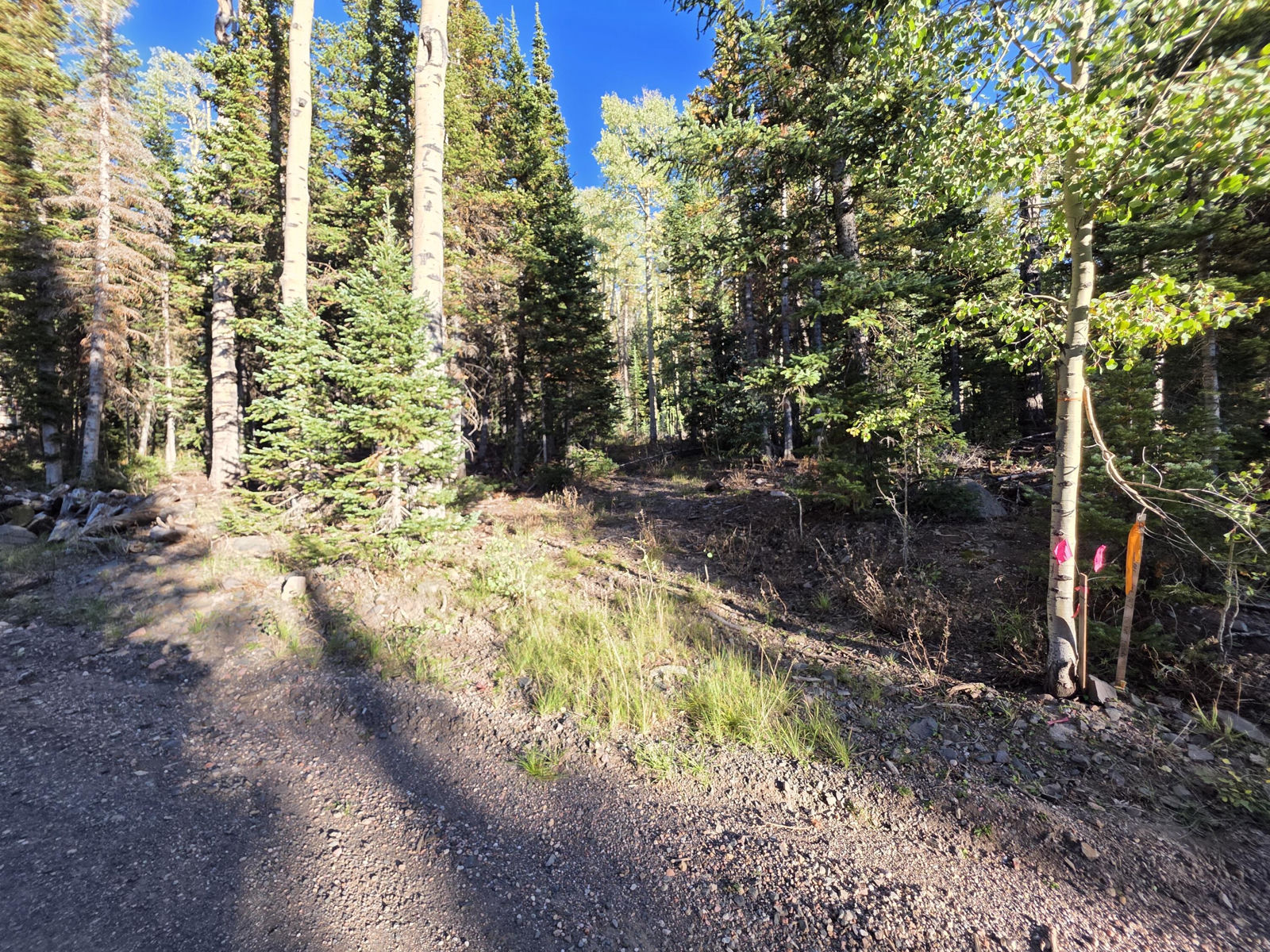 214 E Deer Trail, Brian Head, photo 31 of 38