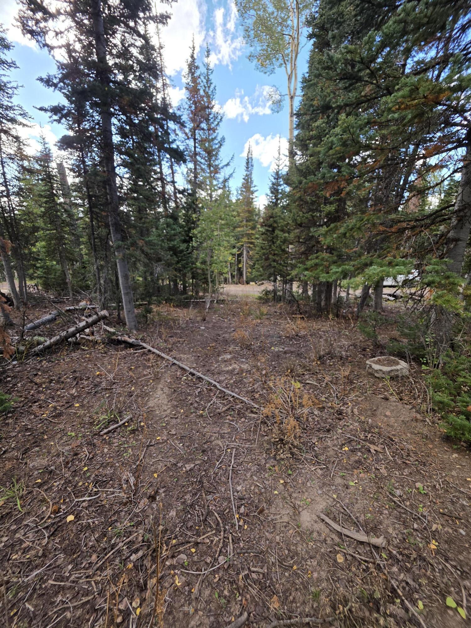 214 E Deer Trail, Brian Head, photo 5 of 38