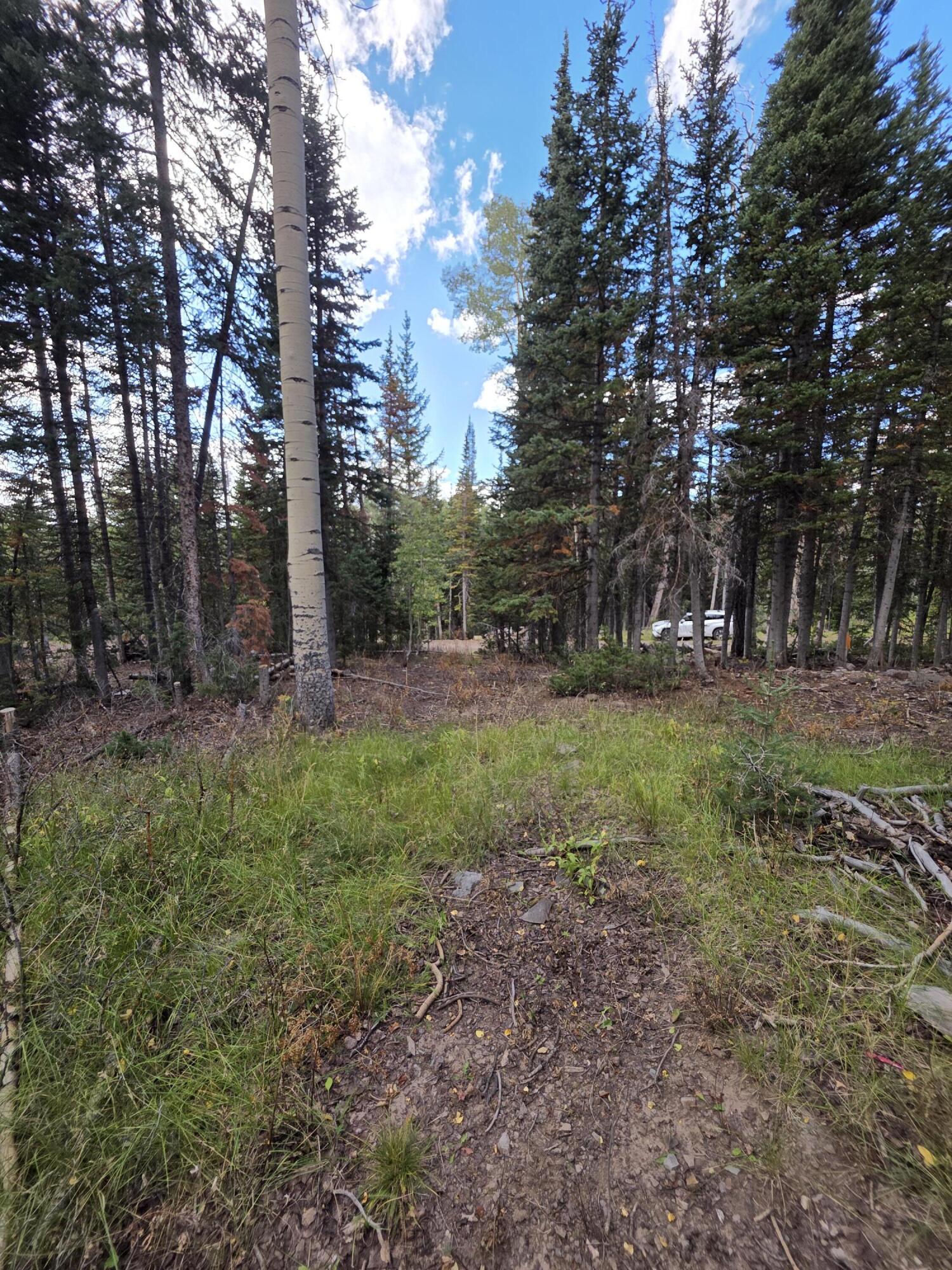 214 E Deer Trail, Brian Head, photo 6 of 38