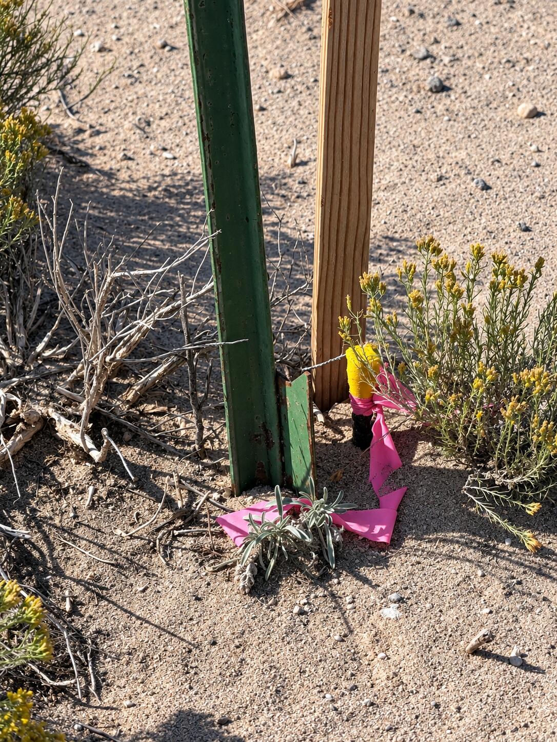 6400 N 4000 W, Beryl, photo 3 of 11