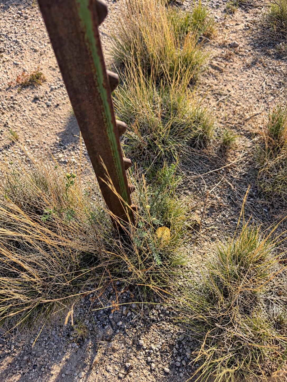 6400 N 4000 W, Beryl, photo 5 of 11