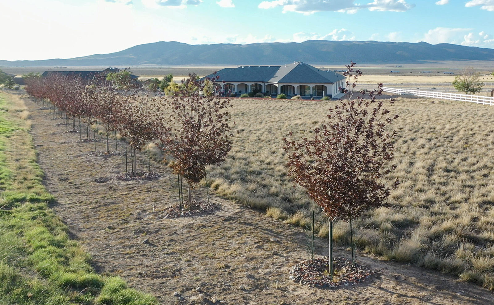 1531 S Laura CIR W, Parowan, photo 6 of 77