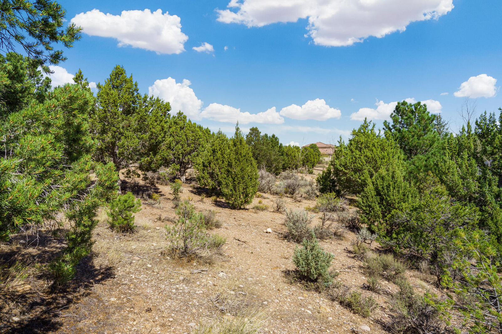 1510 S Cross Hollow DR, Cedar City, photo 47 of 57