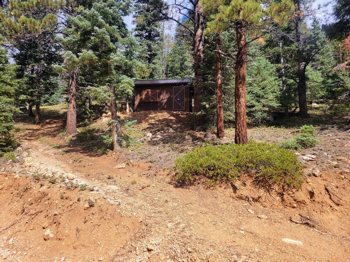 5340 W Bitterberry CIR, Duck Creek Village, photo 2 of 19
