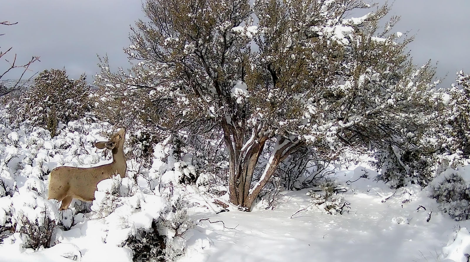 8475 W Bumblebee Springs RD, Cedar City, photo 10 of 10