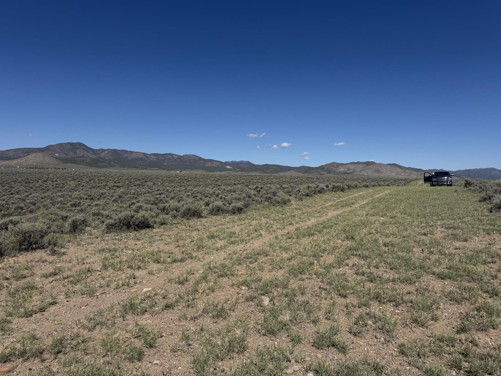 10 Ac #E-1727-0002-0001-012, Beryl, photo 11 of 20