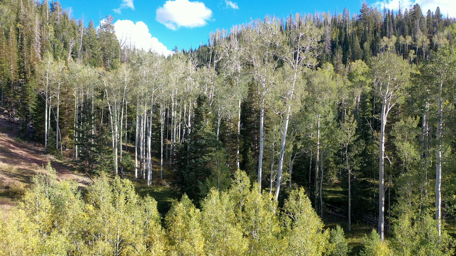 371 Acres Dry Lakes RD, Brian Head, photo 2 of 32