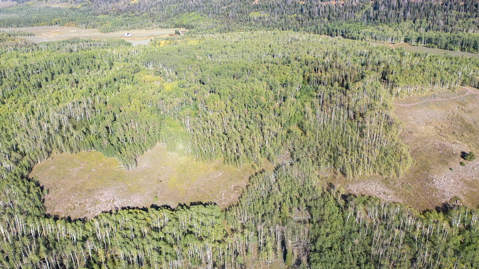 371 Acres Dry Lakes RD, Brian Head, photo 19 of 32