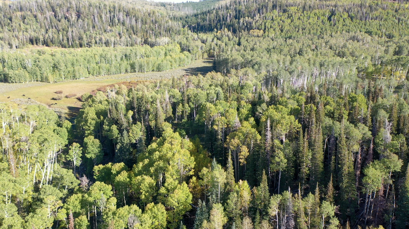 371 Acres Dry Lakes RD, Brian Head, photo 23 of 32