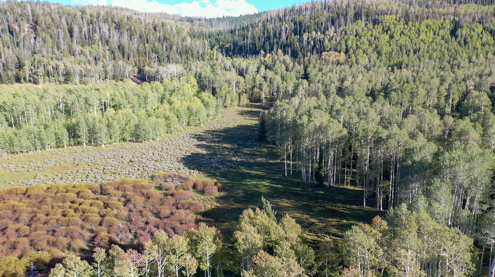 371 Acres Dry Lakes RD, Brian Head, photo 24 of 32