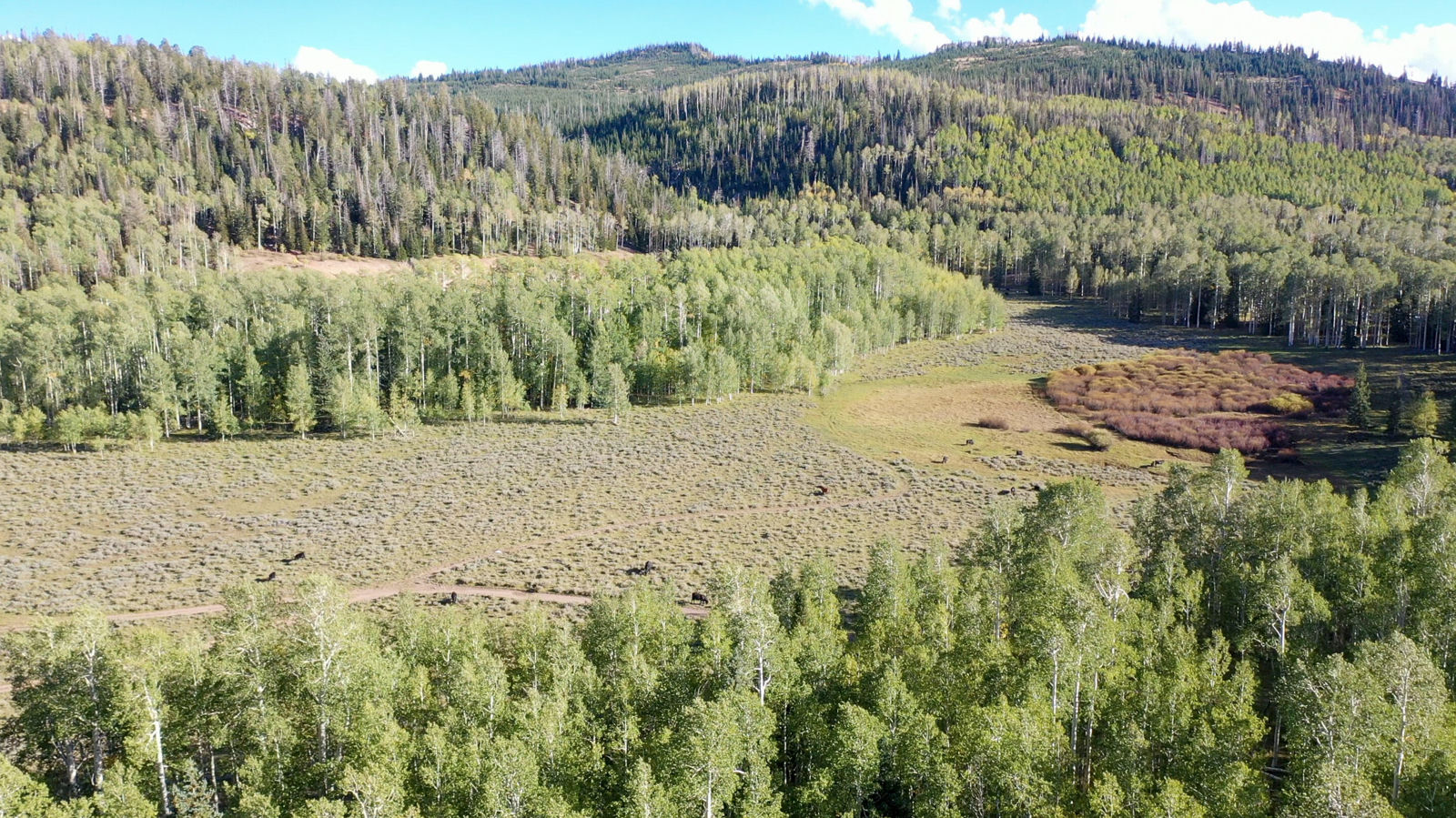 371 Acres Dry Lakes RD, Brian Head, photo 26 of 32