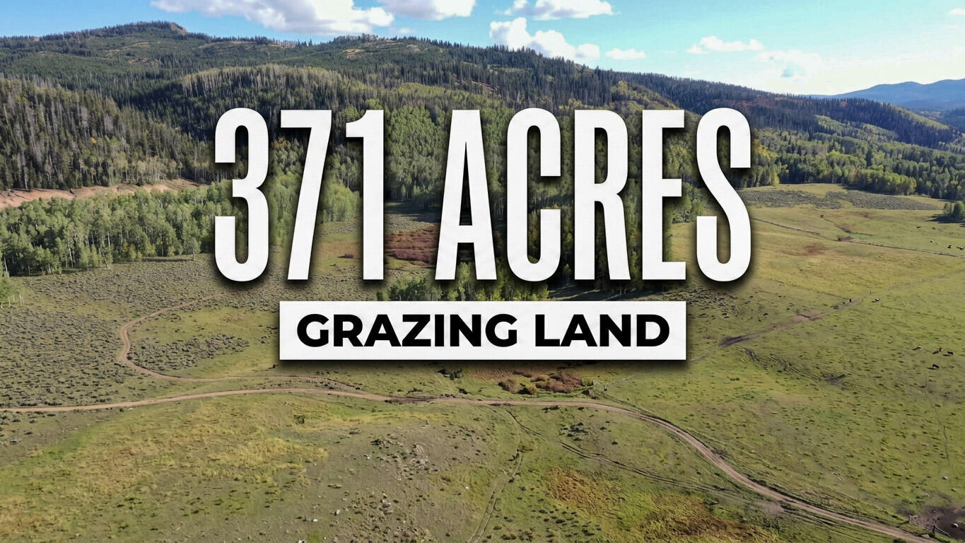 371 Acres Dry Lakes RD, Brian Head, photo 27 of 32
