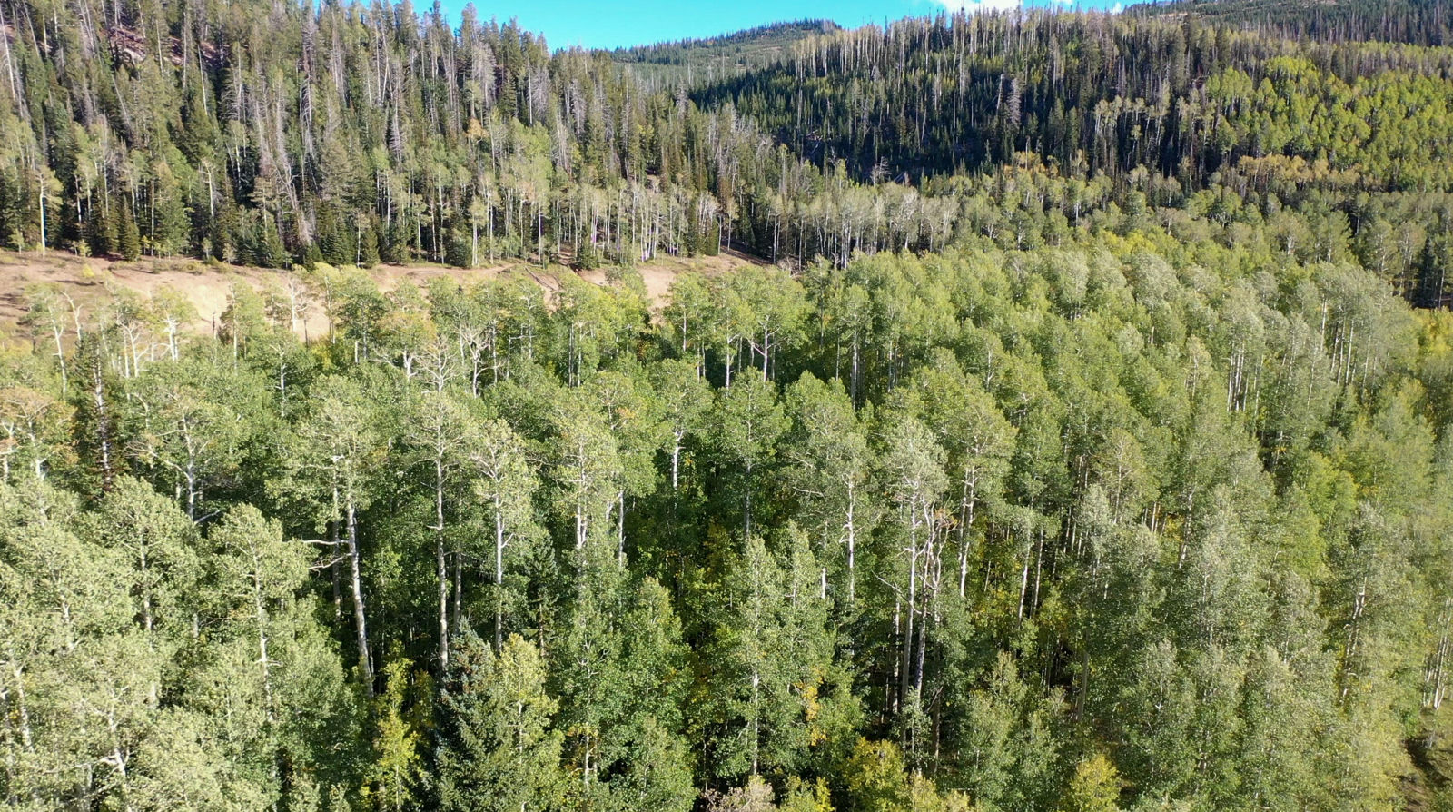 371 Acres Dry Lakes RD, Brian Head, photo 28 of 32