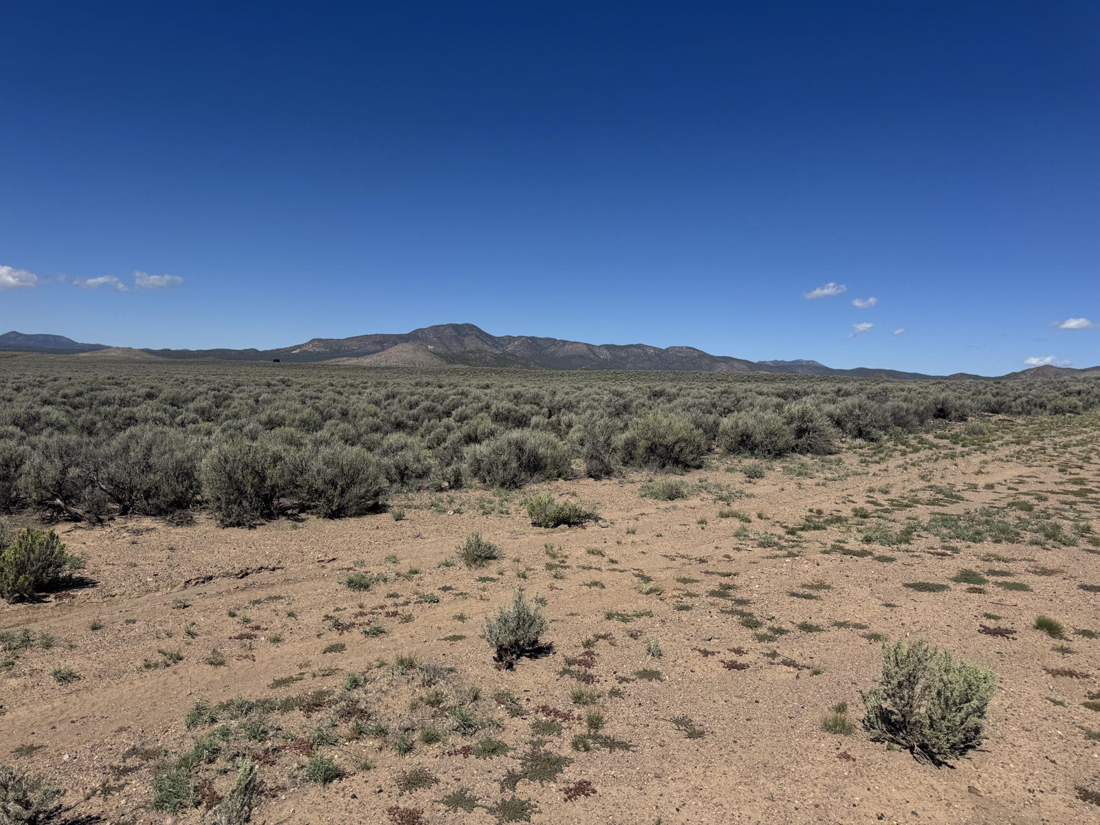 10 Ac #E-1727-0002-0001-01, Beryl, photo 10 of 20