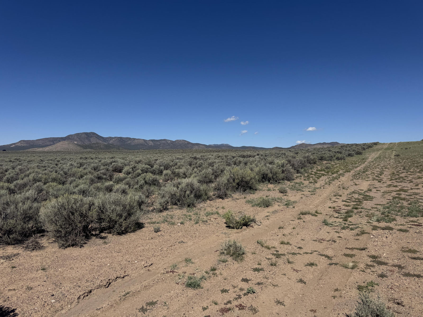 10 Ac #E-1727-0002-0001-01, Beryl, photo 11 of 20