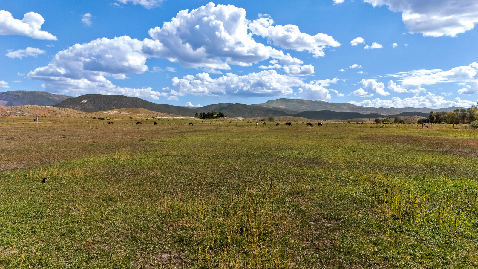 1599 S Old Highway 91, Beaver, photo 9 of 20