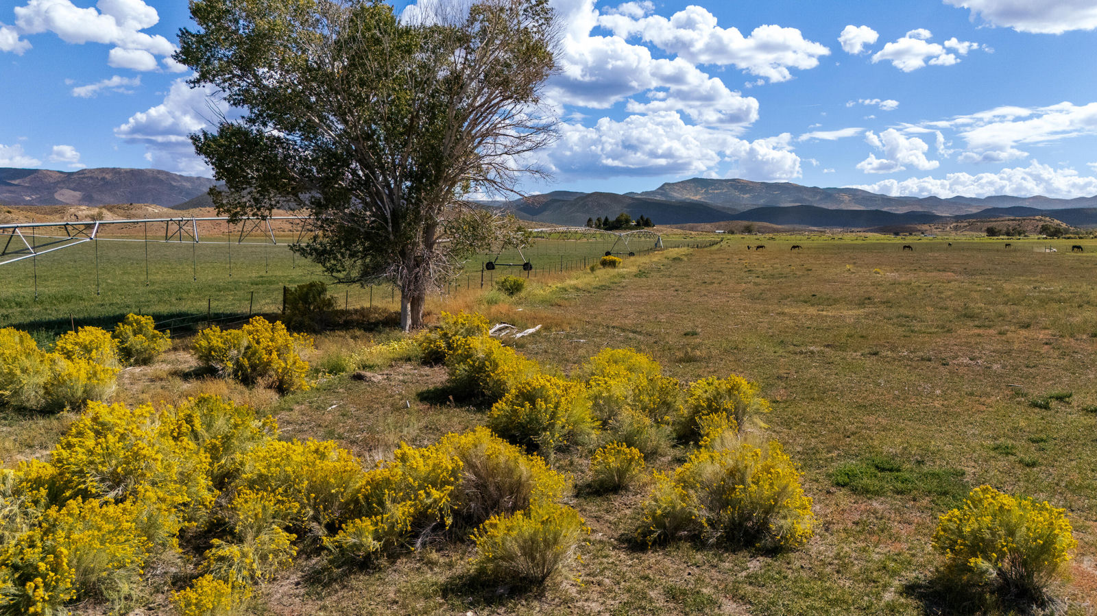 1599 S Old Highway 91, Beaver, photo 10 of 20