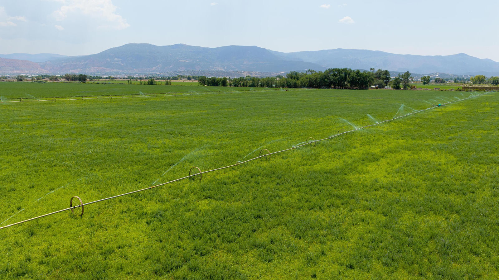 518 Acres 1384 AF Water, 578 Water Share, Cedar City, photo 8 of 29