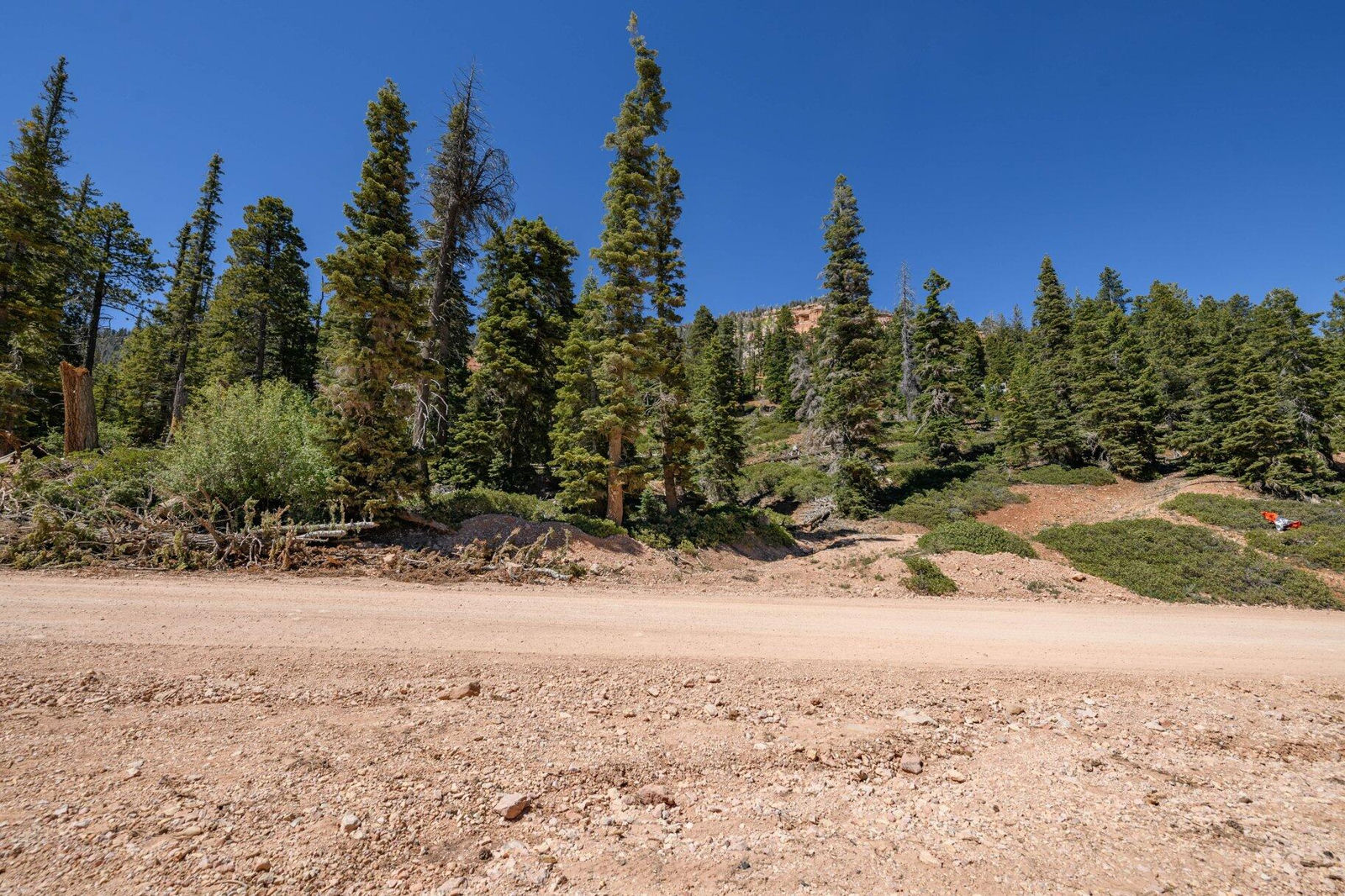 5150 W North Fork RD, Duck Creek Village, photo 5 of 149