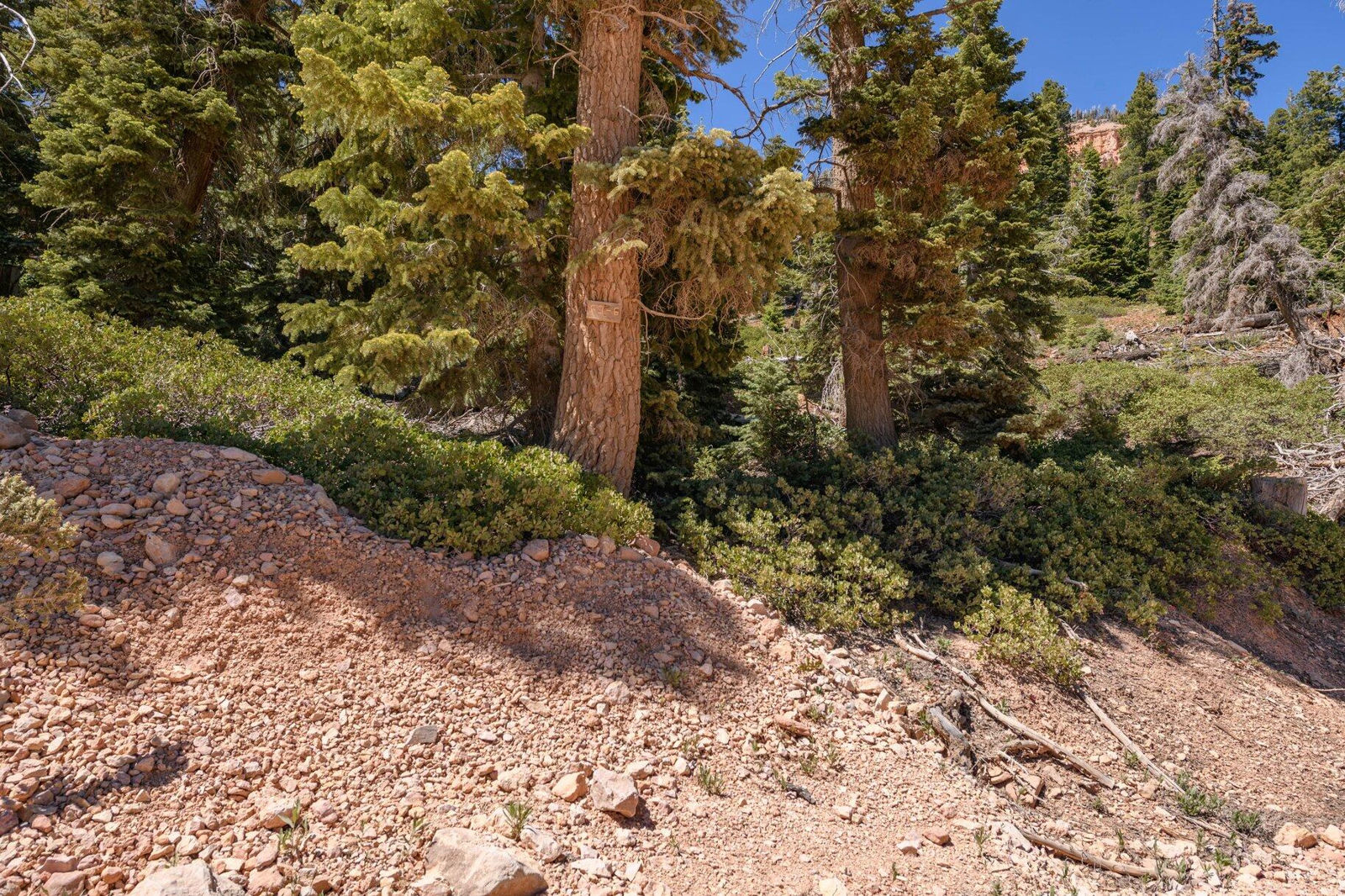 5150 W North Fork RD, Duck Creek Village, photo 7 of 149