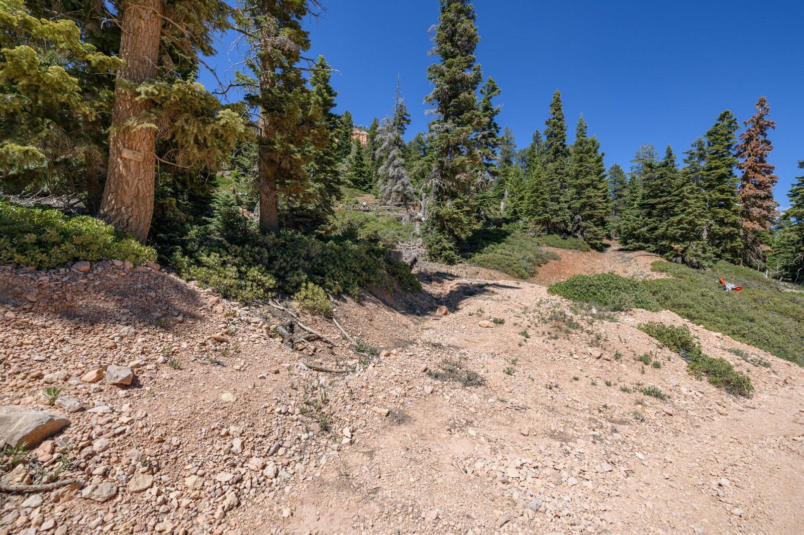 5150 W North Fork RD, Duck Creek Village, photo 8 of 149