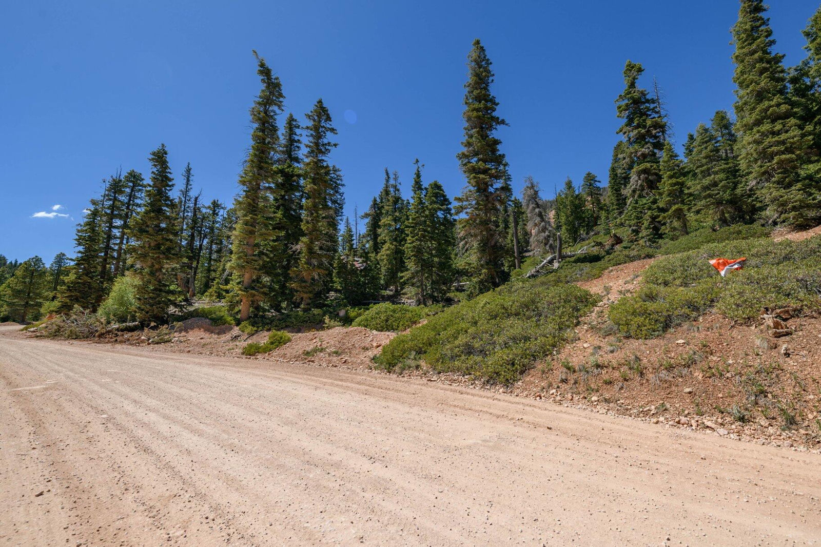 5150 W North Fork RD, Duck Creek Village, photo 9 of 149