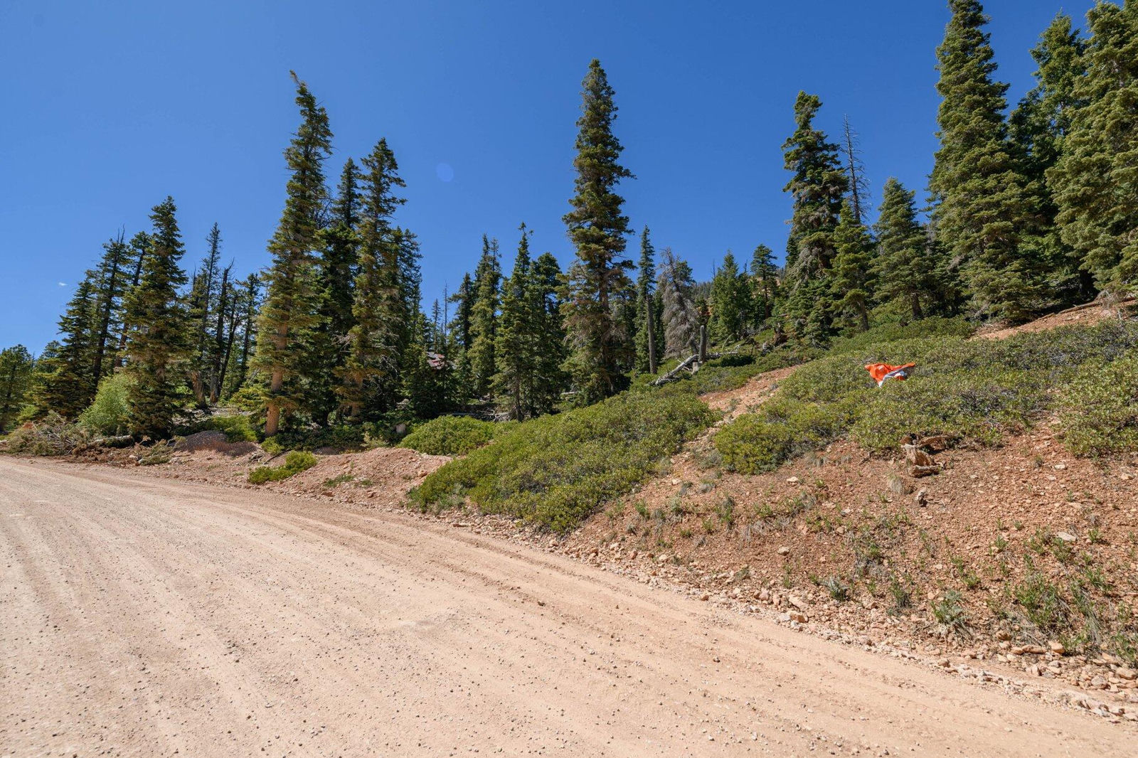 5150 W North Fork RD, Duck Creek Village, photo 14 of 149
